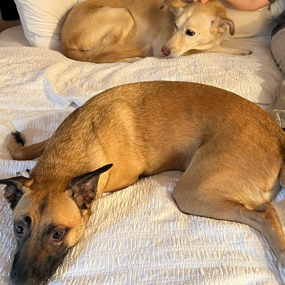 Meet your Posher, Nichole - Picture 2 of 2